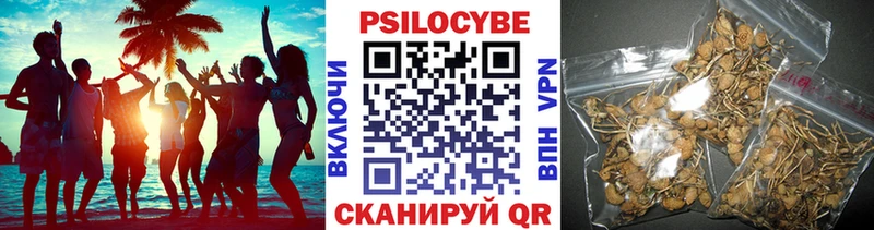 Купить  Порхов  Галлюциногенные грибы Magic Shrooms 