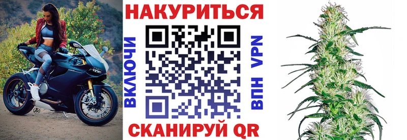 Купить где  Порхов  Бошки Шишки ГИДРОПОН 